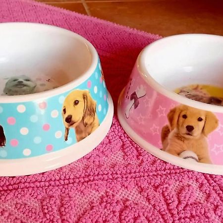 카데두 La Conchiglietta Blu 빌라 외부 사진